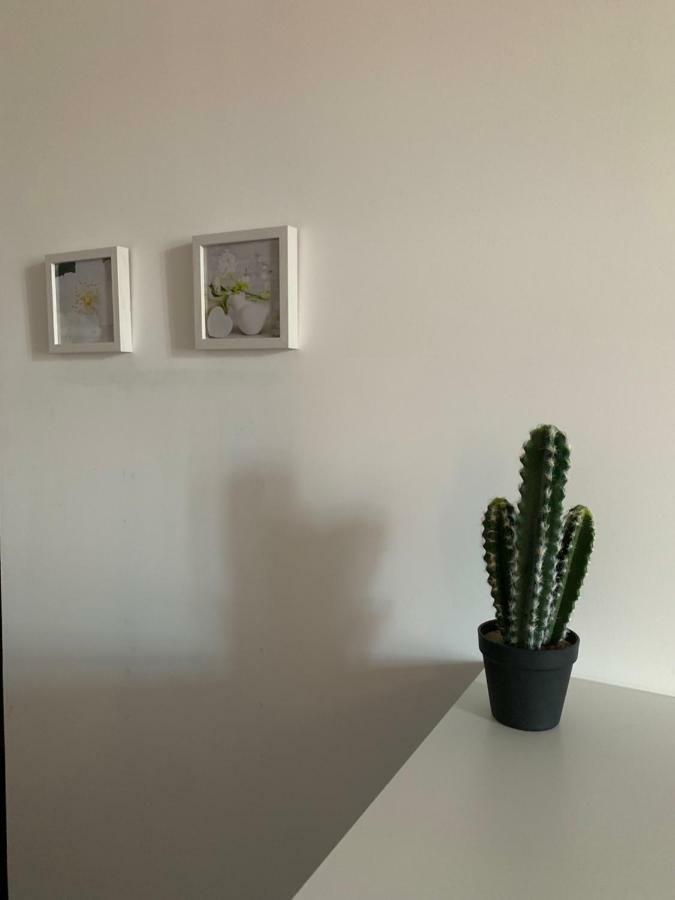 Beau T4 Hyper Centre Avec Parking Apartment Perpignan Ngoại thất bức ảnh